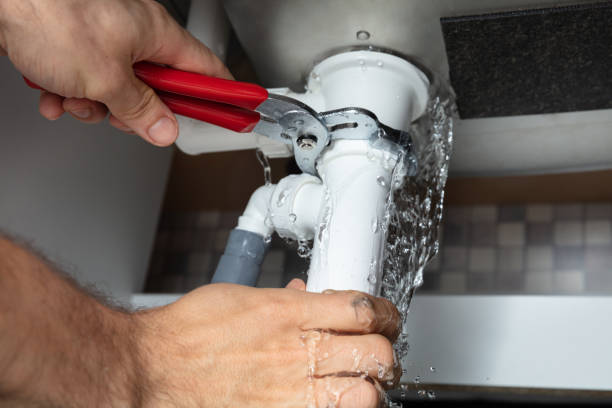 Best Water damage cleanup near me  in Farmville, NC