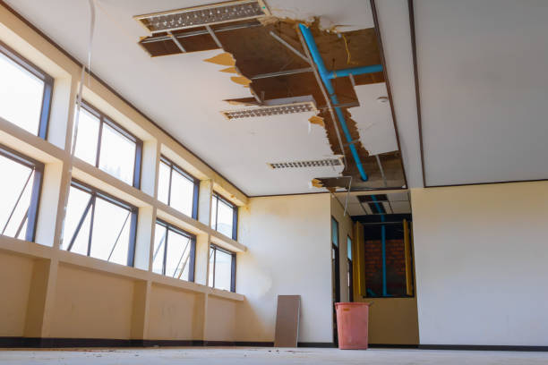 Best Mold removal after water damage  in Farmville, NC