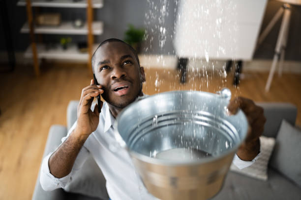 Best Water damage restoration services  in Farmville, NC