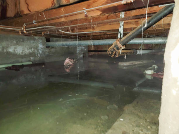 Best Water damage restoration near me  in Farmville, NC