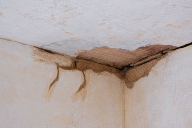 Best Local water damage restoration  in Farmville, NC