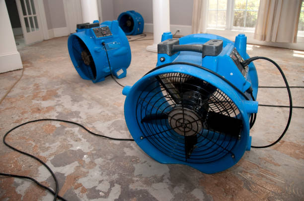 Best Commercial water damage restoration  in Farmville, NC