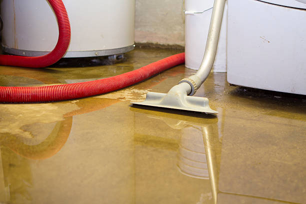 Trusted Farmville, NC Water damage restoration Experts