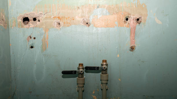Best Water damage cleanup near me  in Farmville, NC